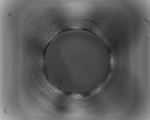 X0000099500322200805151437