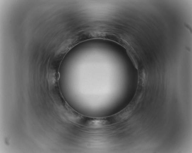 X0000099500323200805151437