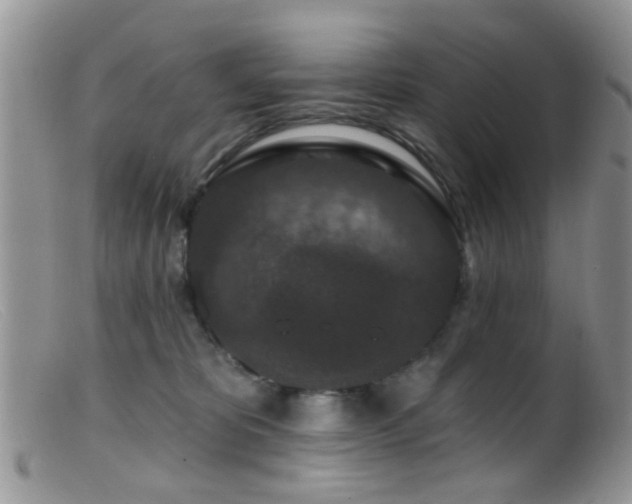 X0000099500325200805151437