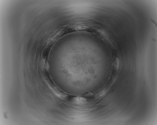 X0000099500327200805151437