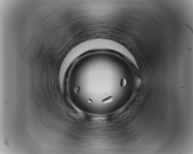 X0000099500328200805151437