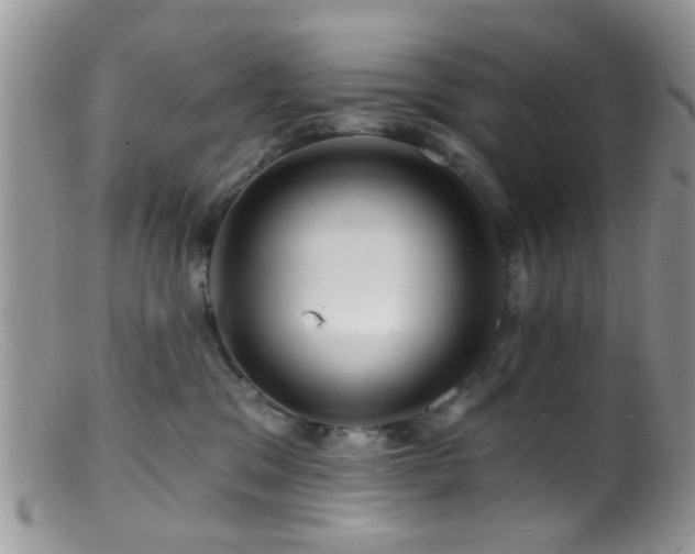 X0000099500329200805151437