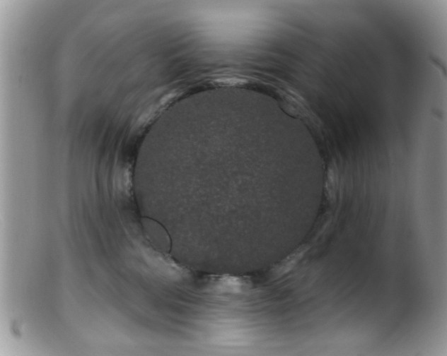 X0000099500330200805151437