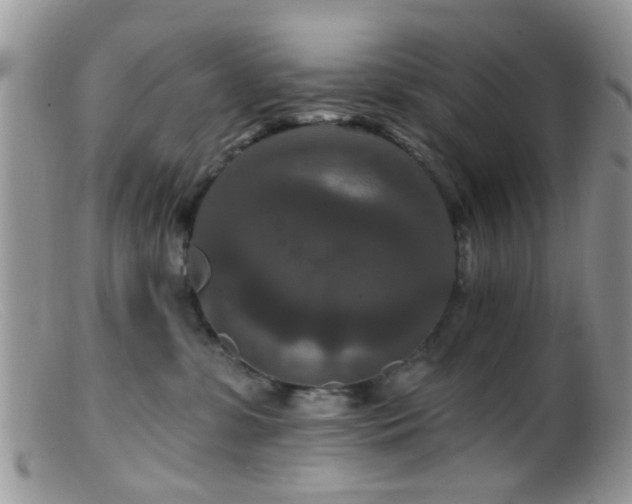 X0000099500331200805151437