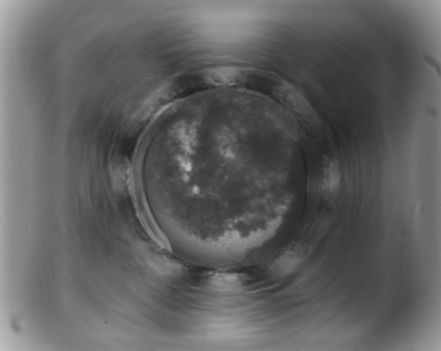 X0000099500332200805151437