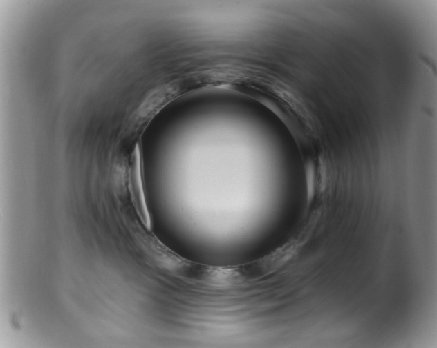 X0000099500333200805151437