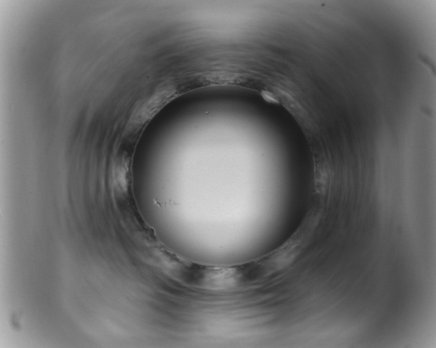 X0000099500334200805151437