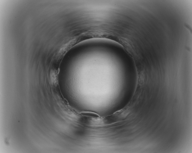 X0000099500335200805151437