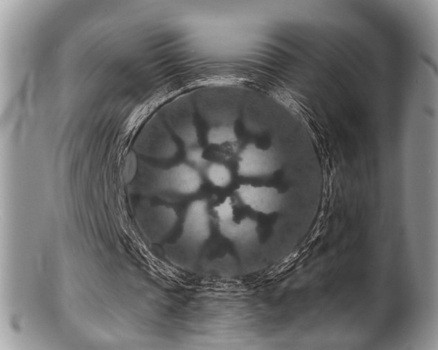 X0000099500337200805151436