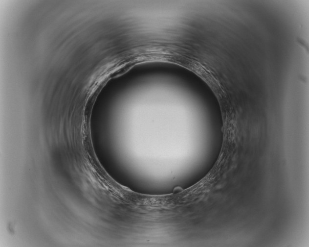 X0000099500338200805151436