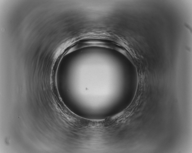X0000099500340200805151436