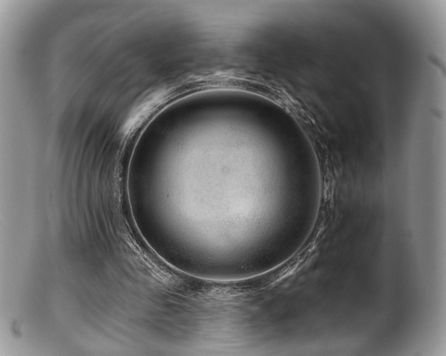 X0000099500341200805151436
