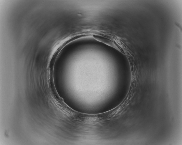 X0000099500342200805151436