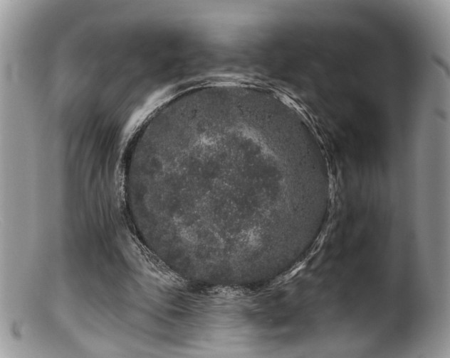 X0000099500343200805151436