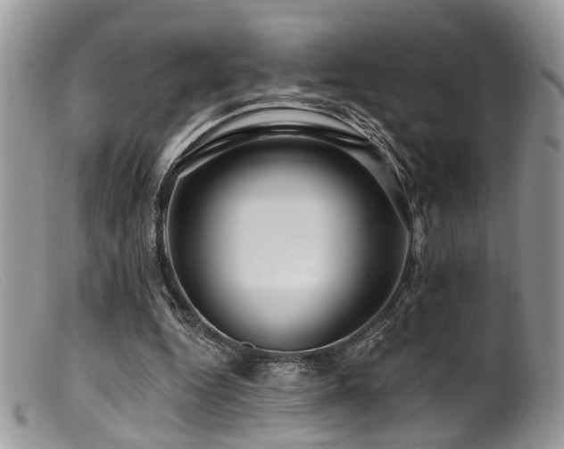 X0000099500344200805151436