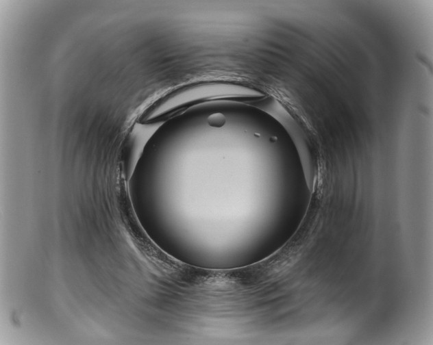 X0000099500348200805151436