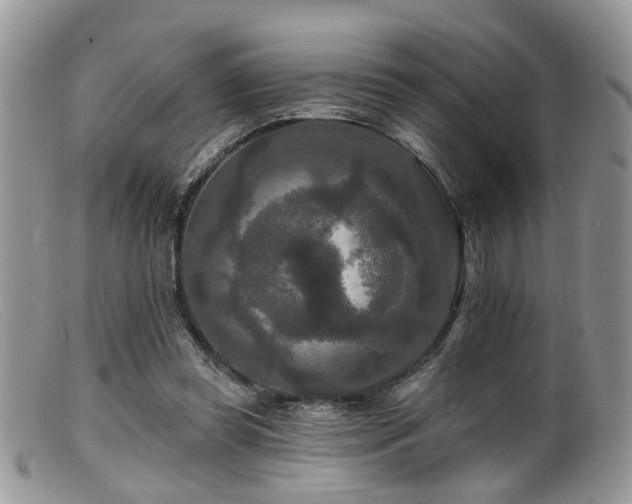X0000099500349200805151436