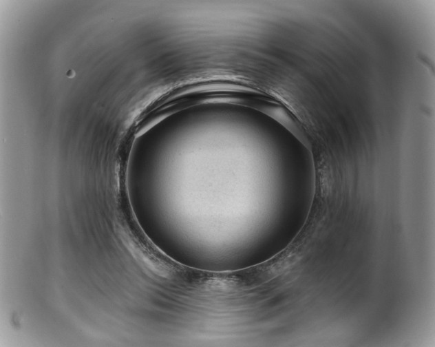 X0000099500350200805151436