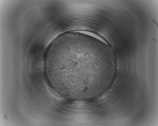X0000099500351200805151436
