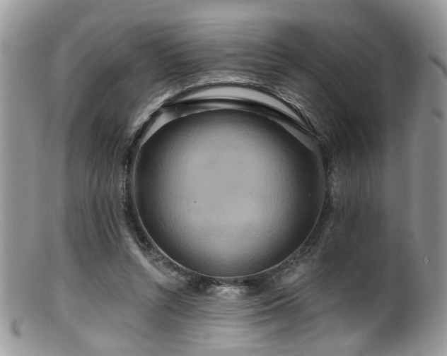 X0000099500352200805151436