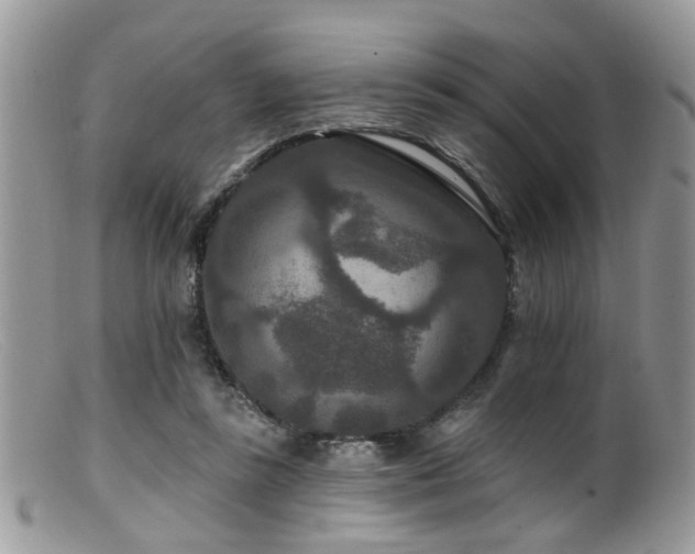 X0000099500355200805151436