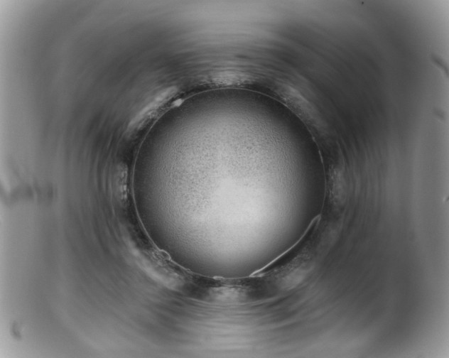 X0000099500356200805151436