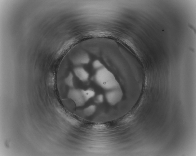 X0000099500357200805151436