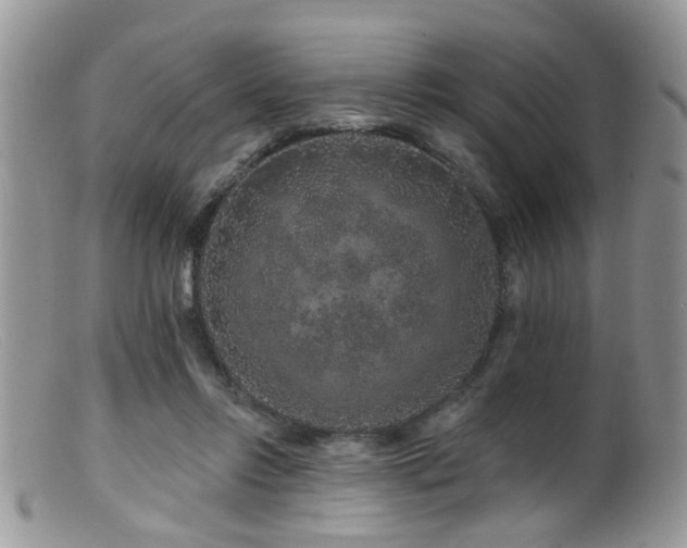 X0000099500358200805151436