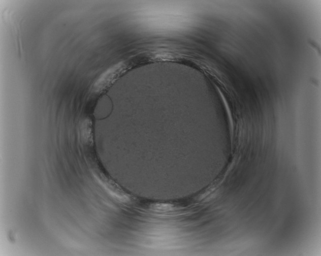 X0000099500361200805151436