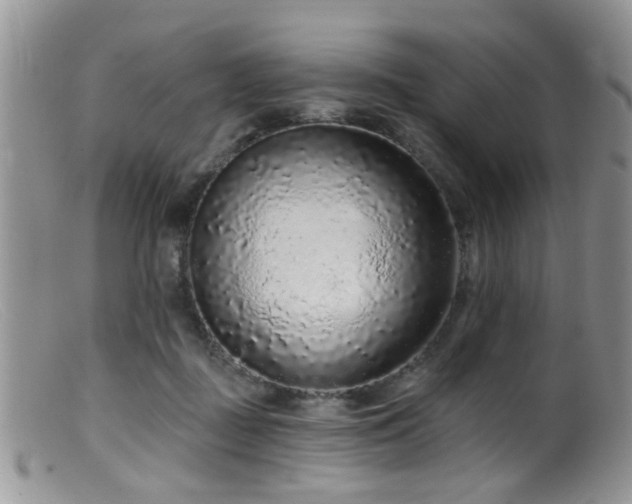 X0000099500363200805151436