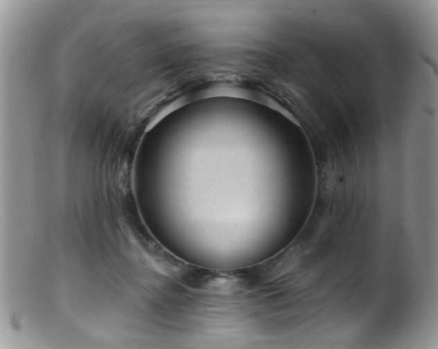 X0000099500364200805151436