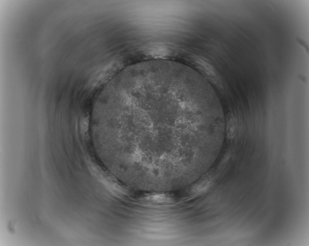 X0000099500365200805151436