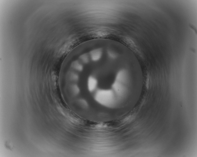 X0000099500366200805151436