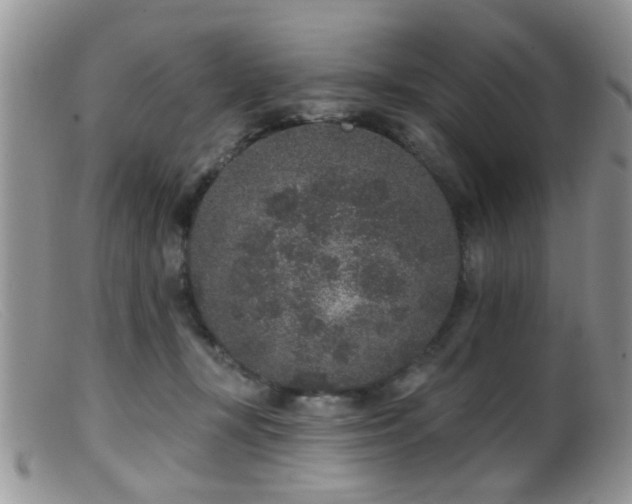 X0000099500367200805151436
