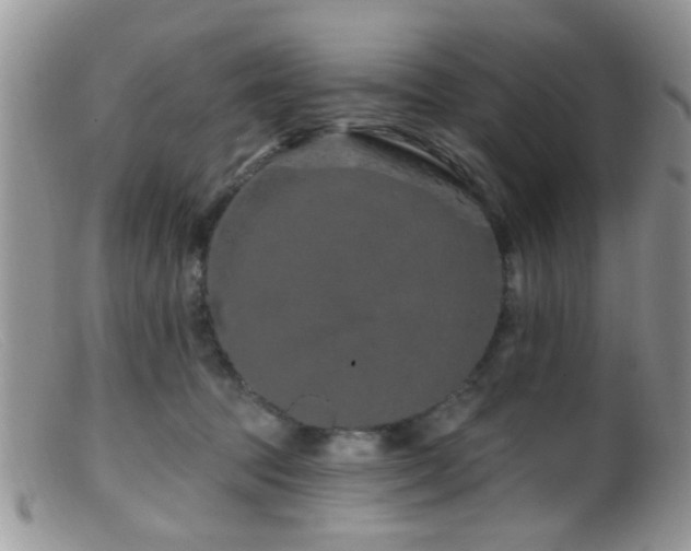 X0000099500369200805151437