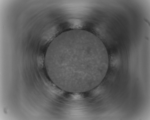 X0000099500370200805151437