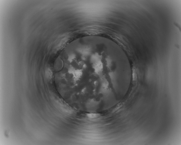 X0000099500371200805151437