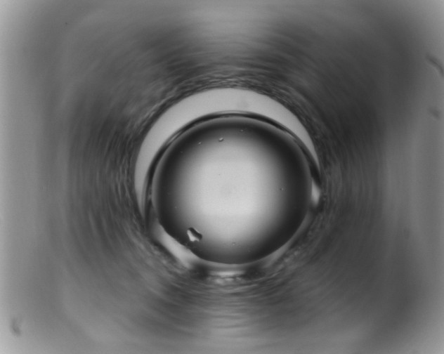 X0000099500372200805151437