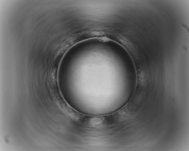 X0000099500373200805151437