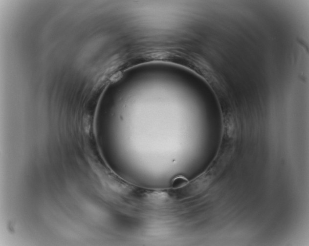 X0000099500374200805151437