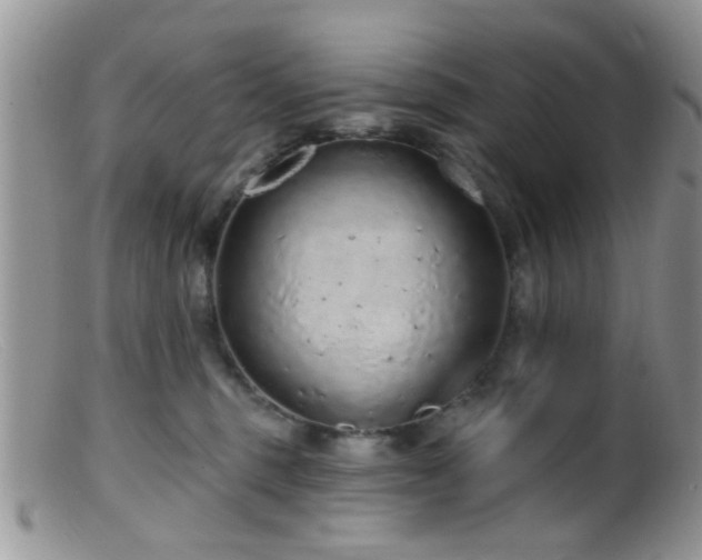 X0000099500375200805151437