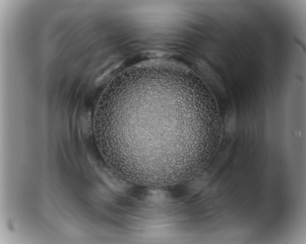 X0000099500376200805151437