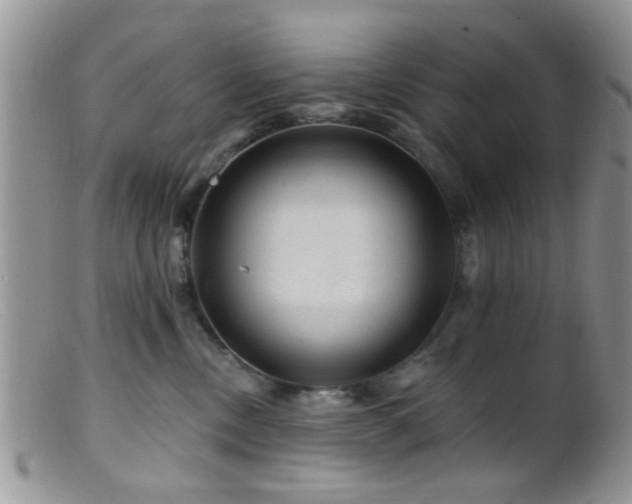 X0000099500378200805151437