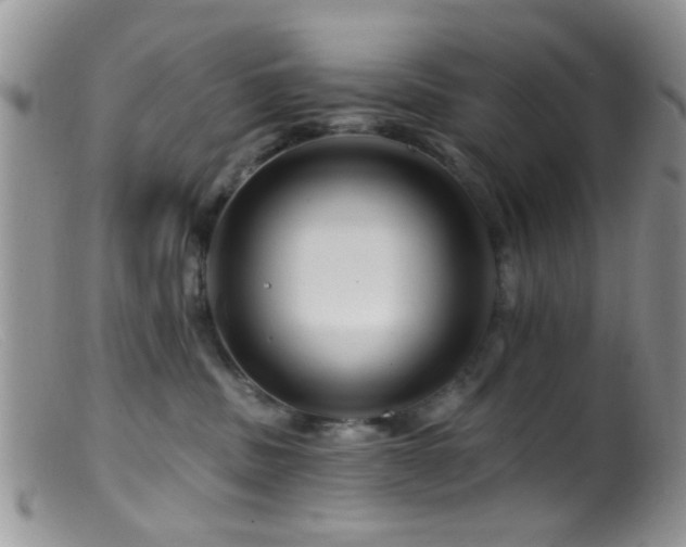 X0000099500379200805151437