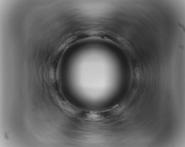 X0000099500380200805151437