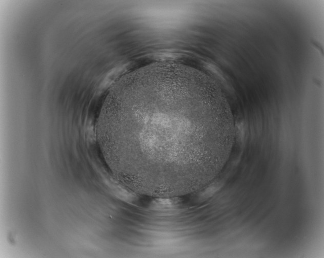 X0000099500381200805151437