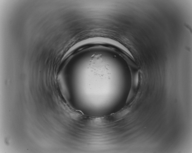 X0000099500382200805151437
