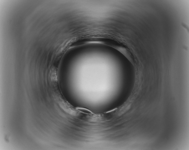 X0000099500384200805151437