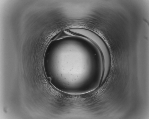 X0000099500385200805151436