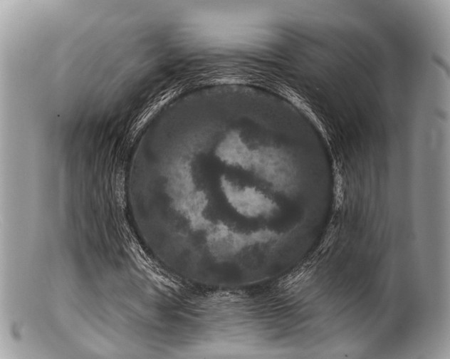 X0000099500386200805151436